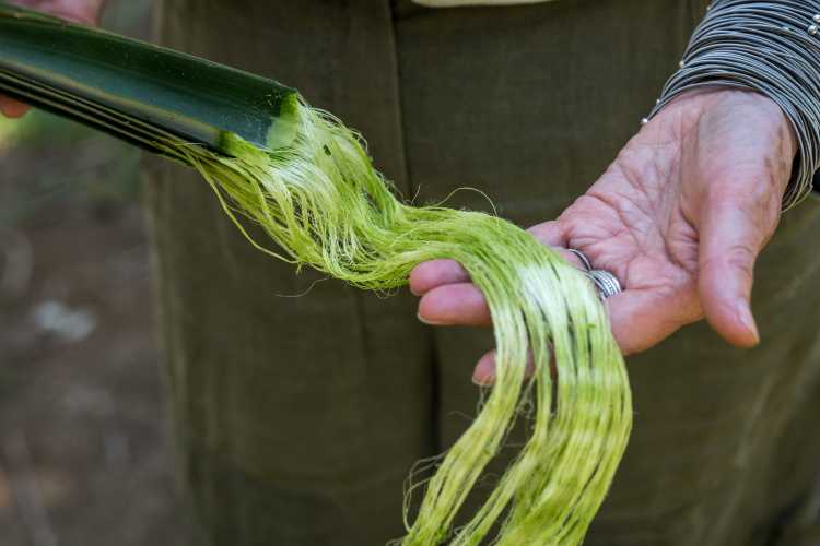 Natural Fiber — C2C